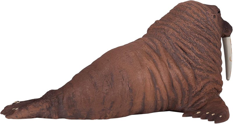 MOJO Walrus Realistic International Wildlife Hand Painted Toy Figurine - Image 3